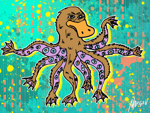 Ploctopus