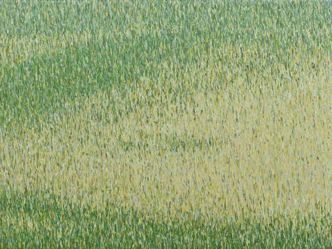 Grasslands #31.2