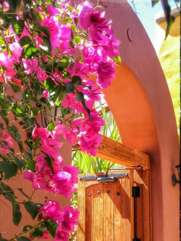 Romantic doorway