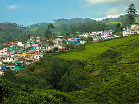 Tea village in munnar