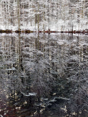 Still water