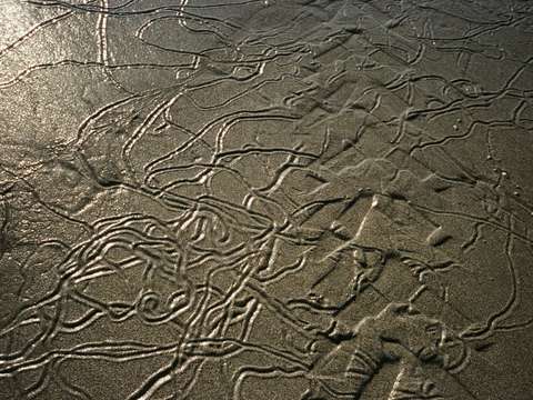 Abstract Sand