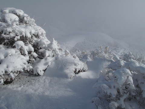 Snowy desert