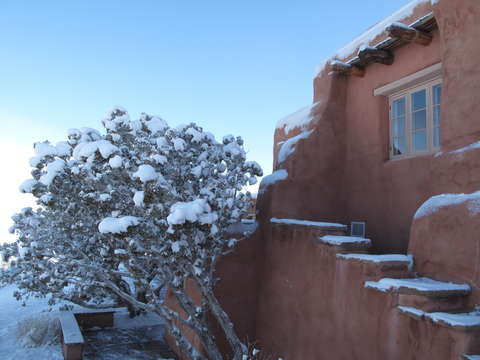 Snowy paradise