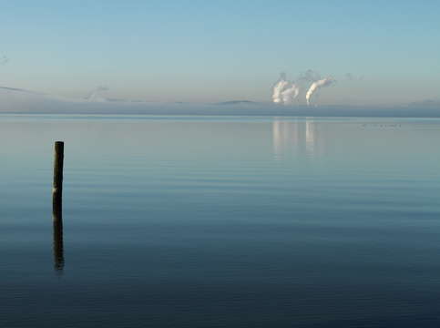 Padilla bay tranquility