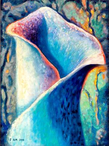 Ice lily
