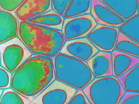 Cellular abstract 4