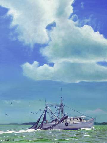 Hilton Head Shrimper