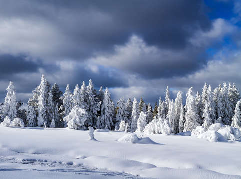 Winter wardrobe 7033