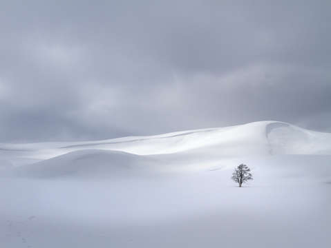 Winter solitude 7142