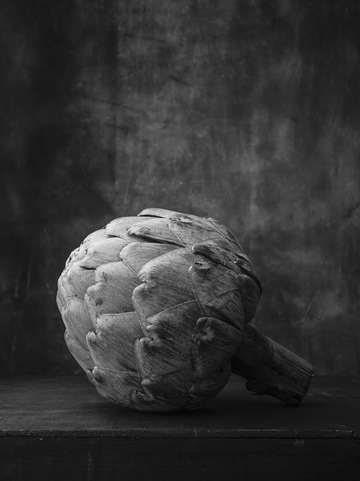 Artichoke black and white still life 1