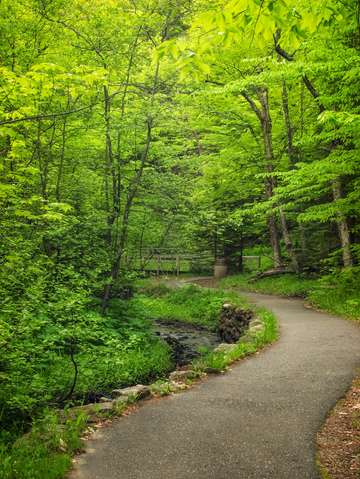 Trail to munising falls