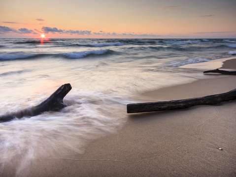 Driftwood on the beach