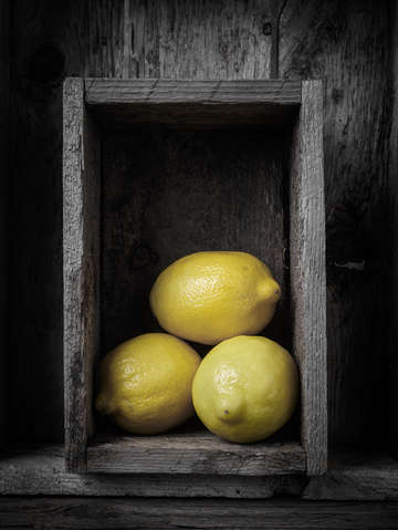 Lemons still life