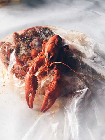 Crabby 2