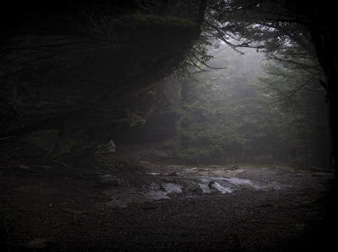 Light at dawn