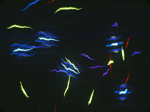 Delayed Pulses Frame10