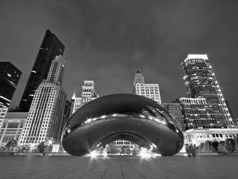 Chicagos cloud gate and skyline