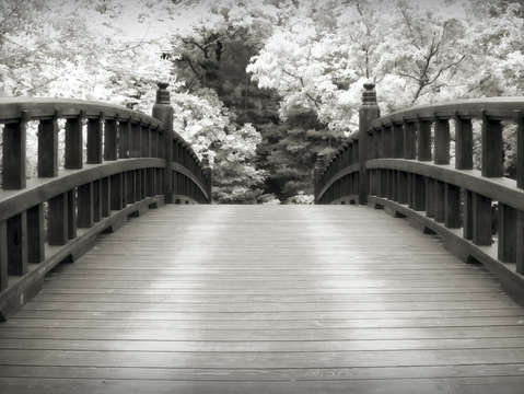 Japanese dream