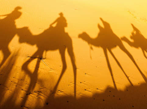 Camel caravan