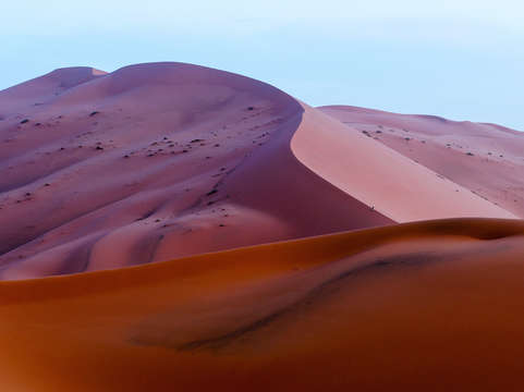 Saharan dawn