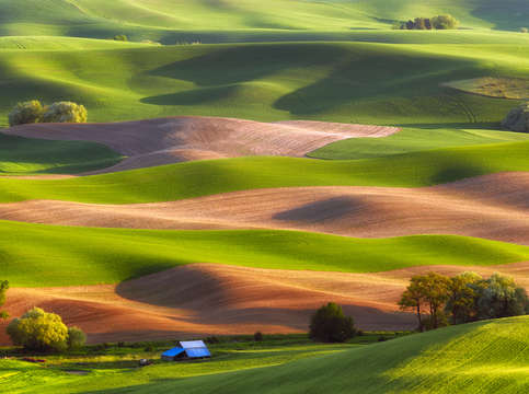 Palouse stripes 2