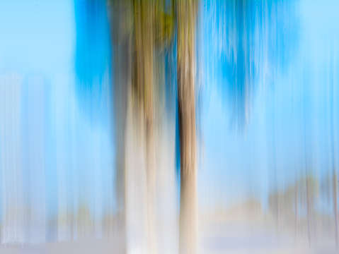 Moving trees 13 blue brown