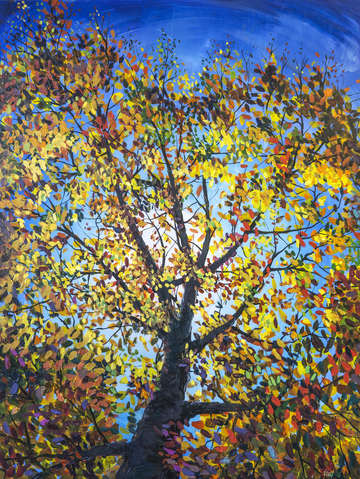 Mighty oak 2