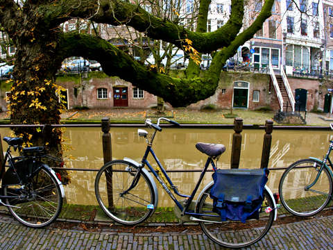 Bikes in utrecht