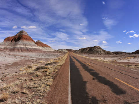 Petrified forest national park