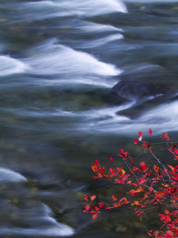 Serenity 3