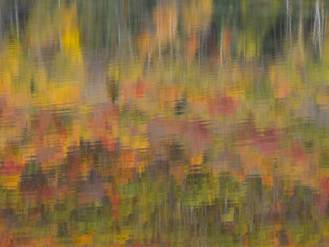 Autumn Ripples