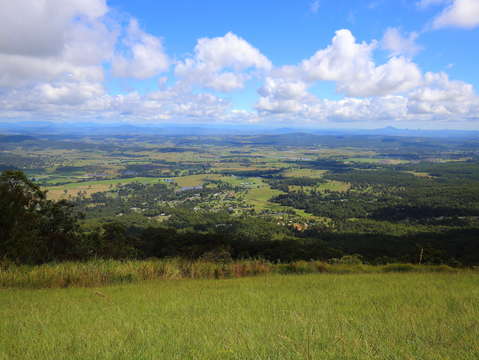 Tamborine mountain lookout