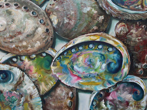 Abalone shells