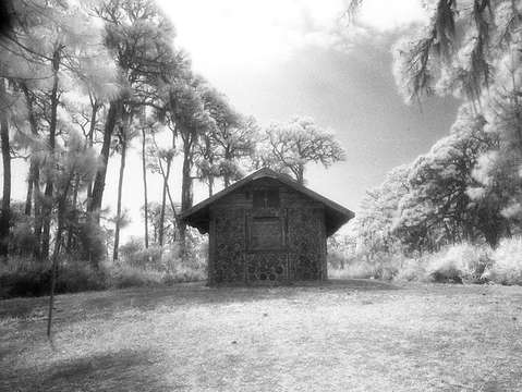 The house 3