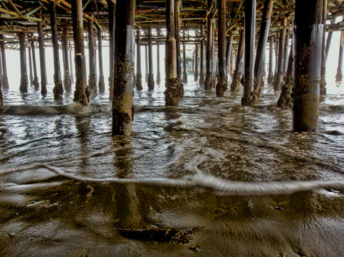 Pier pylons