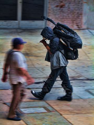 Hollywood pied piper