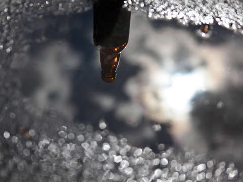 Beer bottle reflection