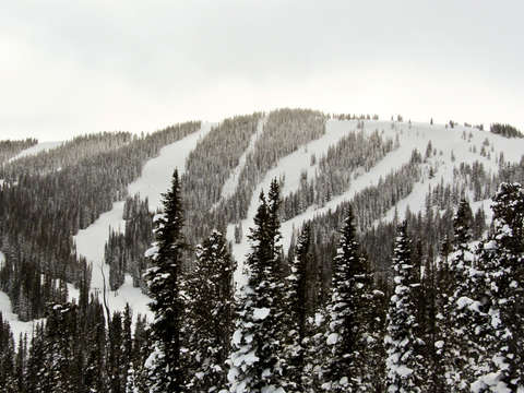Monarch ski runs