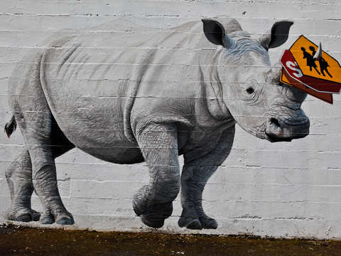 Rhinoceros mural in portland