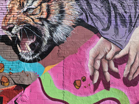 Tiger hands