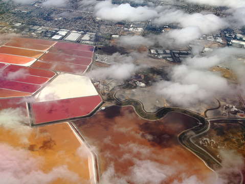 San francisco salt ponds