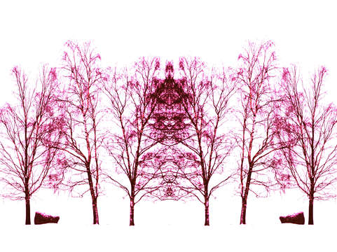 Symmetry
