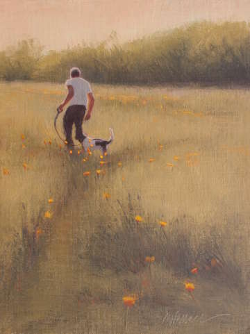 Poppy perspectives