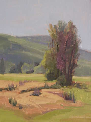 Field trees