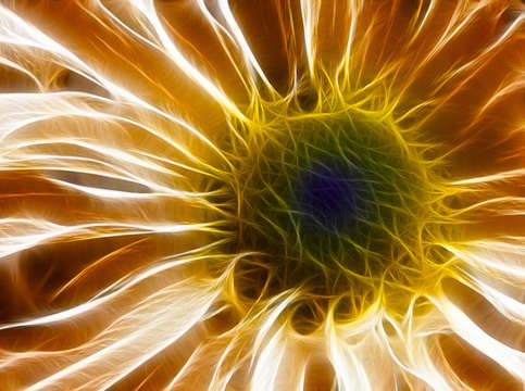 Supernova