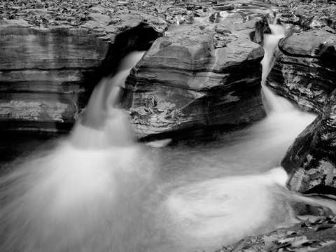 Watkins glen detail
