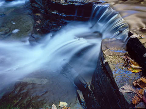Havana glen colors