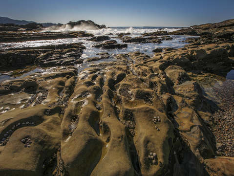 Coastal rocks and surf