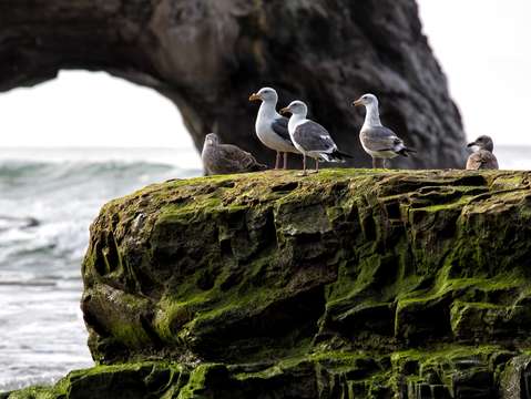 Seascape 4